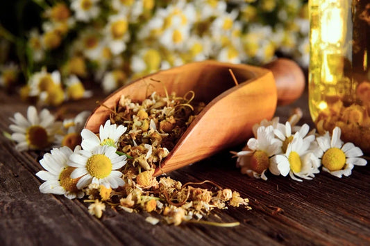 Infusiones relajantes: tu momento de paz y bienestar