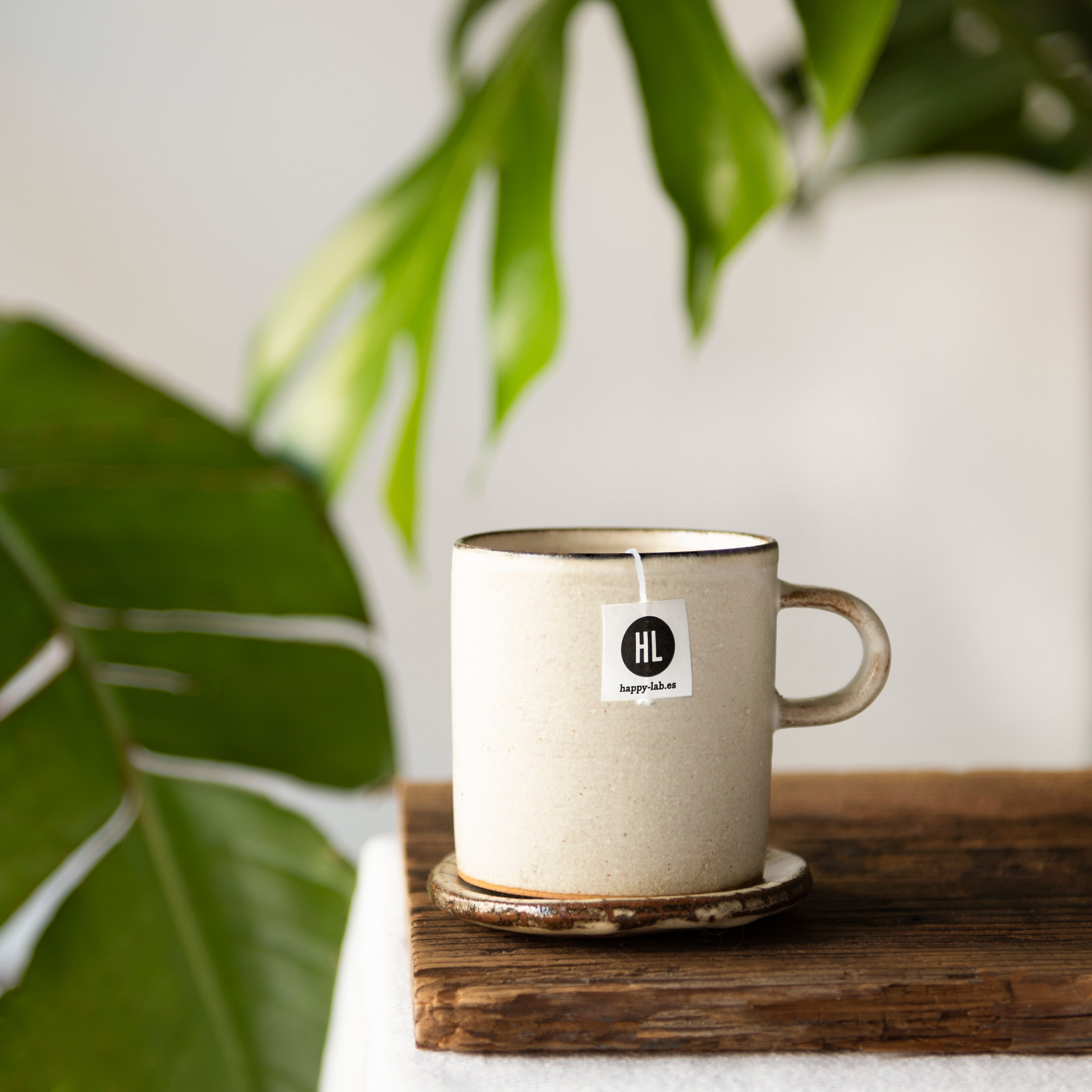 ¿Qué diferencias hay entre el té y las infusiones? ¿Son lo mismo?